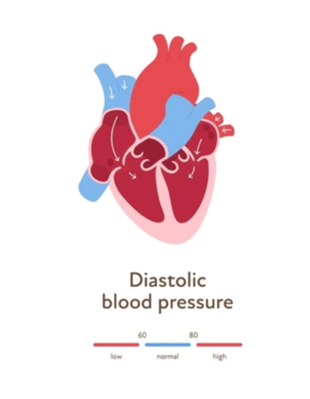 AYURVEDIC BLOOD PRESSURE TREATMENT IN FAIZABAD