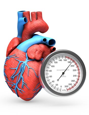 Ayurvedic Heart Treatment in Faizabad